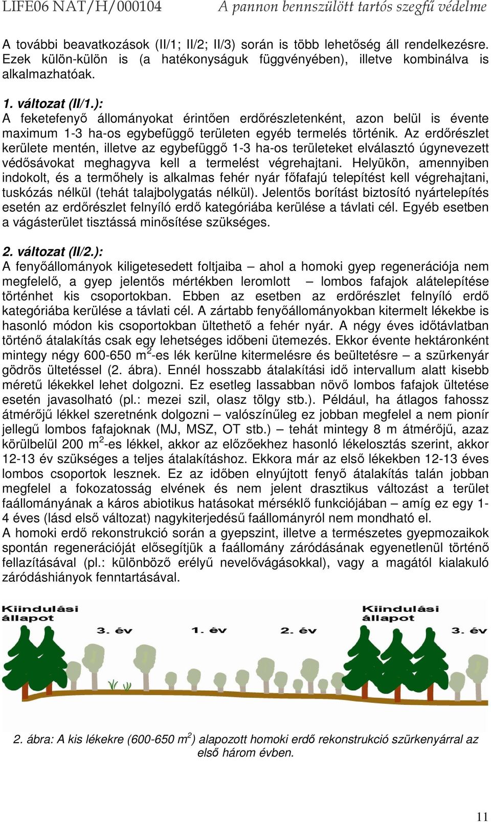 Az erdőrészlet kerülete mentén, illetve az egybefüggő 1-3 ha-os területeket elválasztó úgynevezett védősávokat meghagyva kell a termelést végrehajtani.