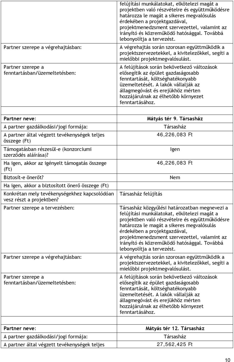 A végrehajtás során szorosan együttműködik a projektszervezetekkel, a kivitelezőkkel, segíti a mielőbbi projektmegvalósulást.