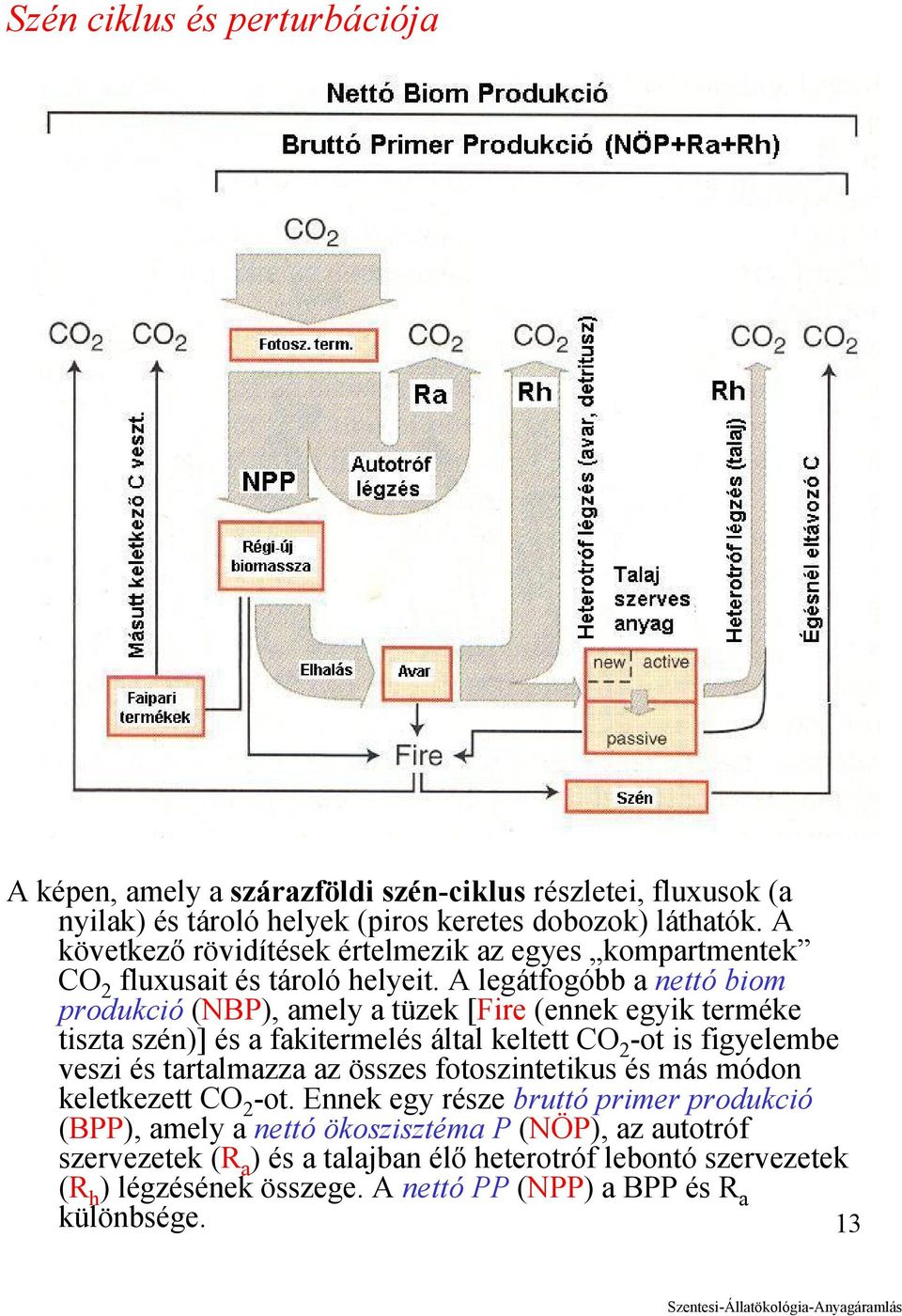 A legátfogóbb a nettó biom produkció (NBP), amely a tüzek [Fire (ennek egyik terméke tiszta szén)] és a fakitermelés által keltett CO 2 -ot is figyelembe veszi és tartalmazza az