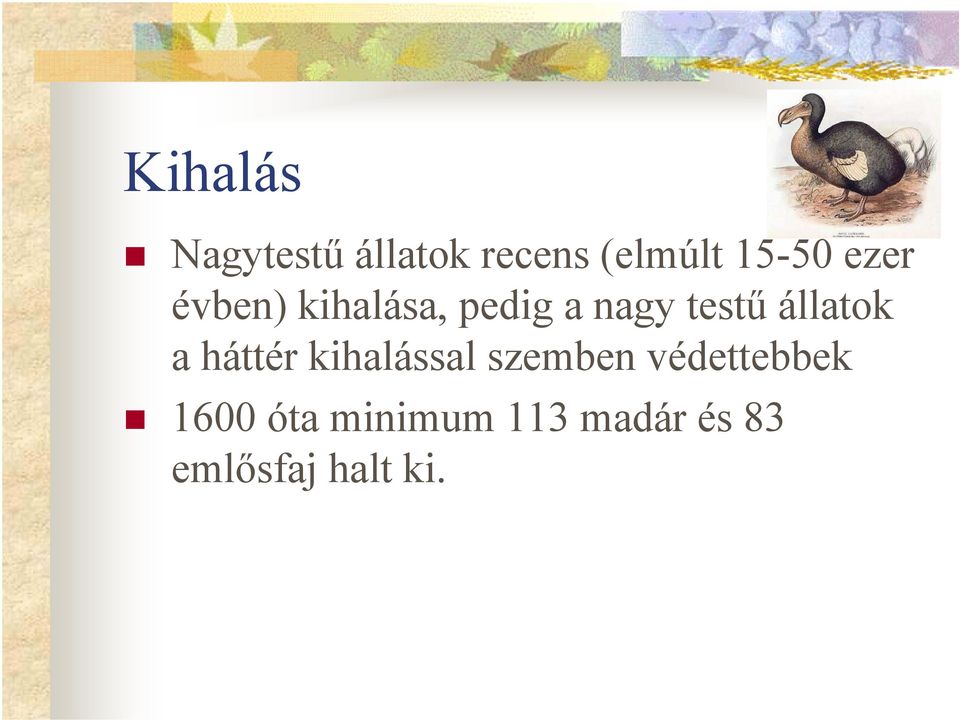 állatok a háttér kihalással szemben