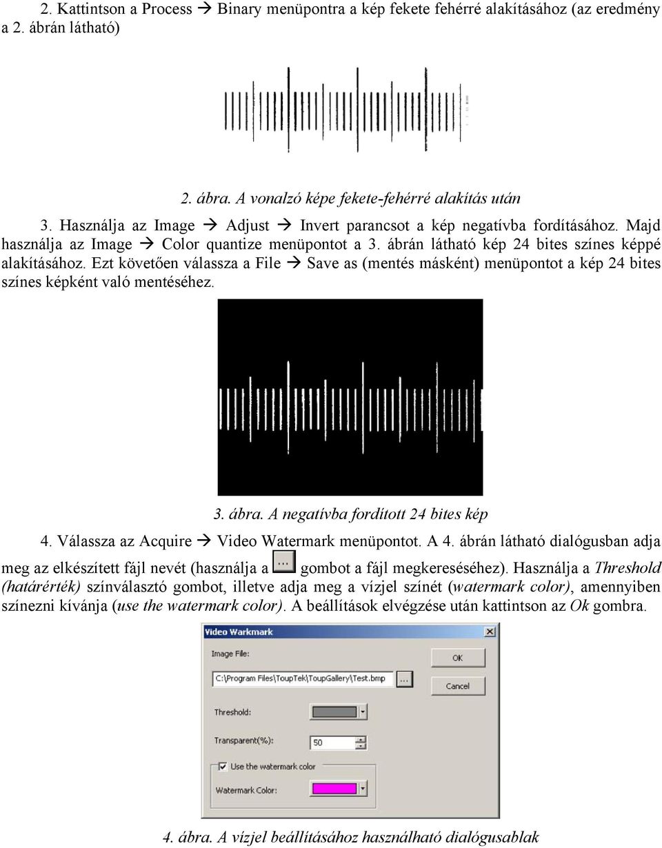 Ezt követően válassza a File Save as (mentés másként) menüpontot a kép 24 bites színes képként való mentéséhez. 3. ábra. A negatívba fordított 24 bites kép 4.
