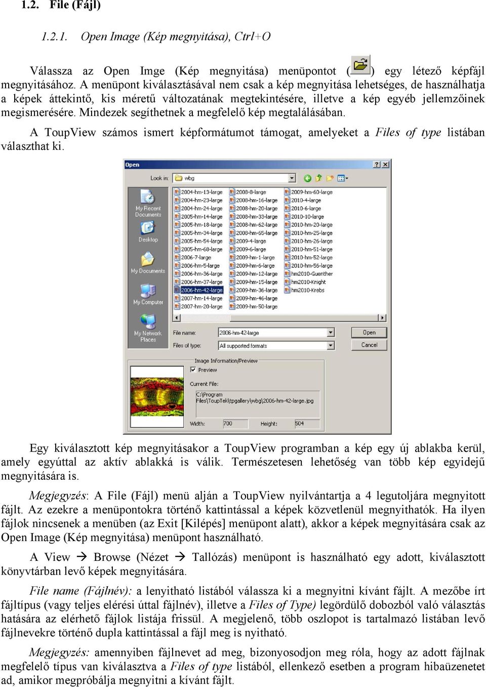 Mindezek segíthetnek a megfelelő kép megtalálásában. A ToupView számos ismert képformátumot támogat, amelyeket a Files of type listában választhat ki.