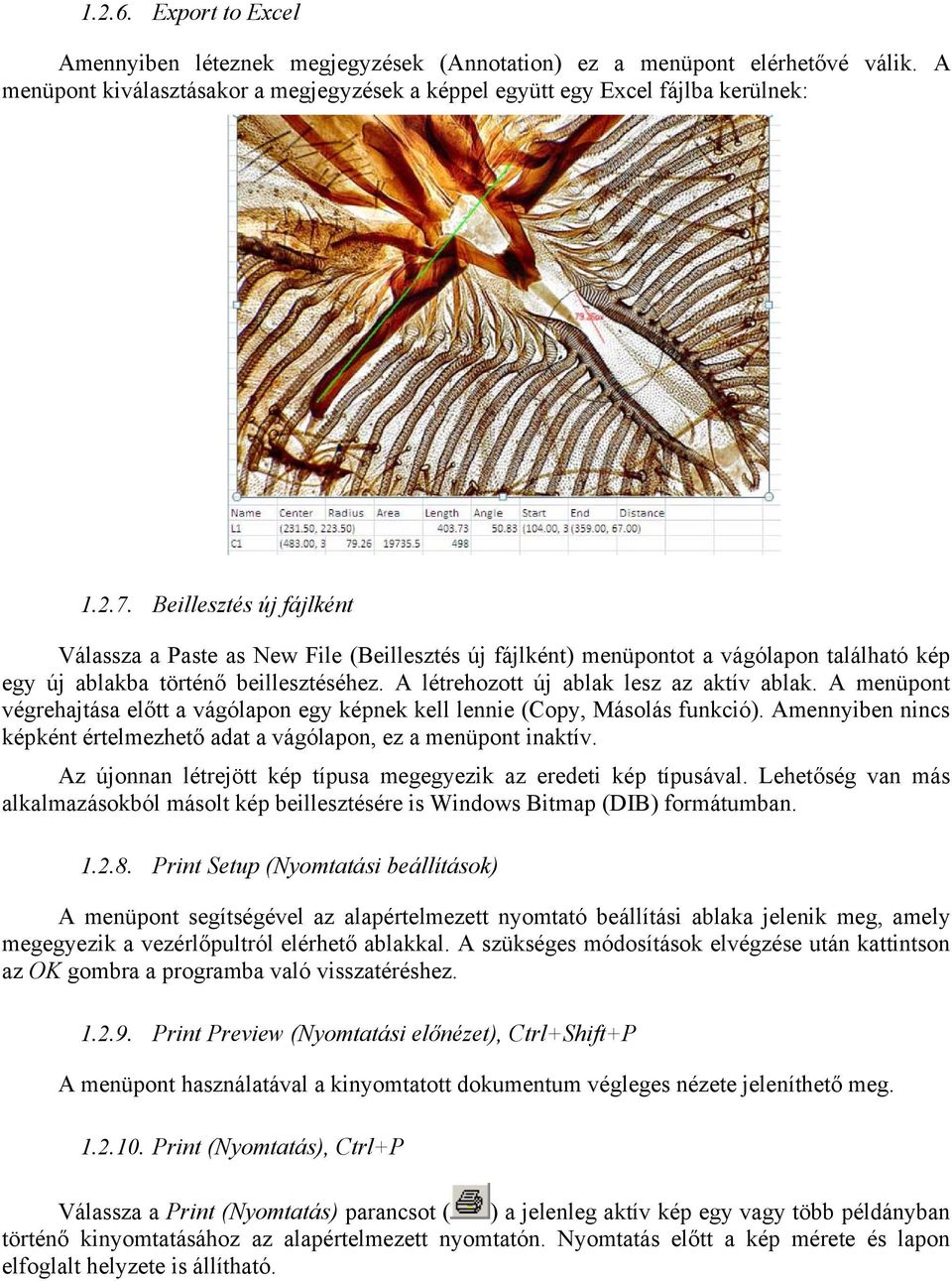 A menüpont végrehajtása előtt a vágólapon egy képnek kell lennie (Copy, Másolás funkció). Amennyiben nincs képként értelmezhető adat a vágólapon, ez a menüpont inaktív.