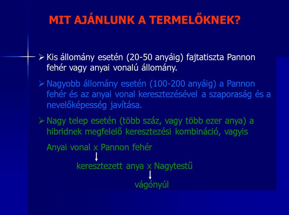 Nagyobb állomány esetén (100-200 anyáig) a Pannon fehér és az anyai vonal keresztezésével a szaporaság