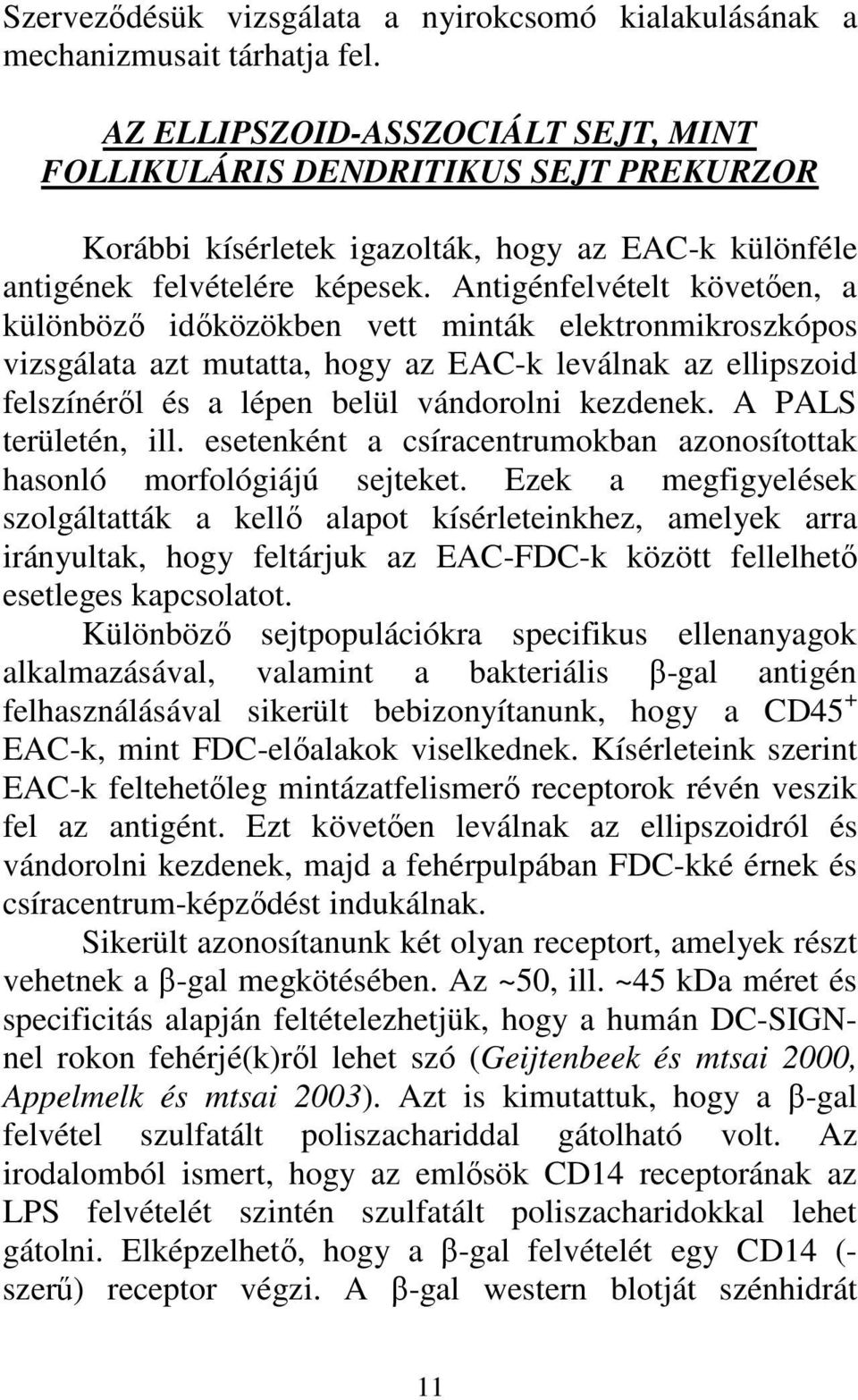 Antigénfelvételt követően, a különböző időközökben vett minták elektronmikroszkópos vizsgálata azt mutatta, hogy az EAC-k leválnak az ellipszoid felszínéről és a lépen belül vándorolni kezdenek.