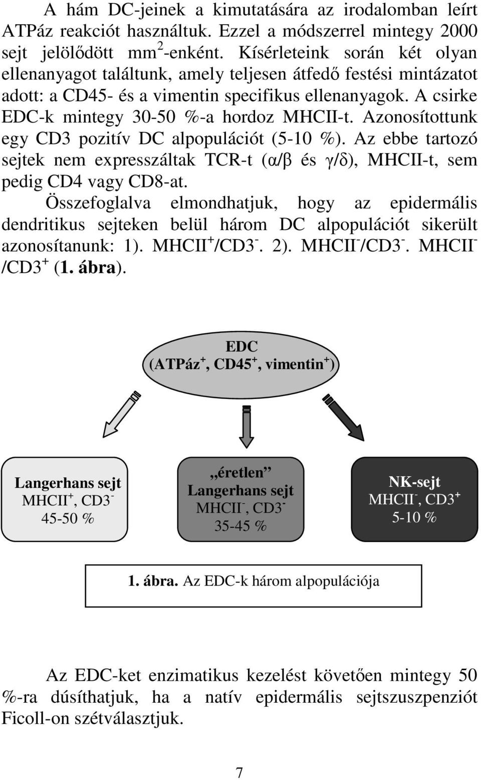 Azonosítottunk egy CD3 pozitív DC alpopulációt (5-10 %). Az ebbe tartozó sejtek nem expresszáltak TCR-t (α/β és γ/δ), MHCII-t, sem pedig CD4 vagy CD8-at.