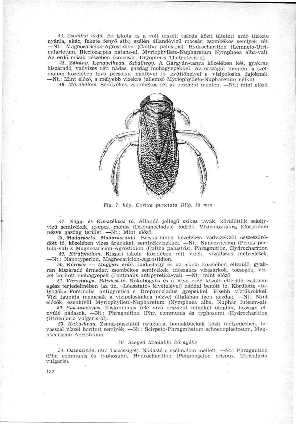 Az erdő másik részében ősmocsár, Dryopteris Thelypteris-el. 45. Zákány. Lengyelhegy. Szögihegy. A Gárgyán-tanya közelében két, gyakran kiszáradó, vadvizes réti nádas, gazdag mohagyepekkel.