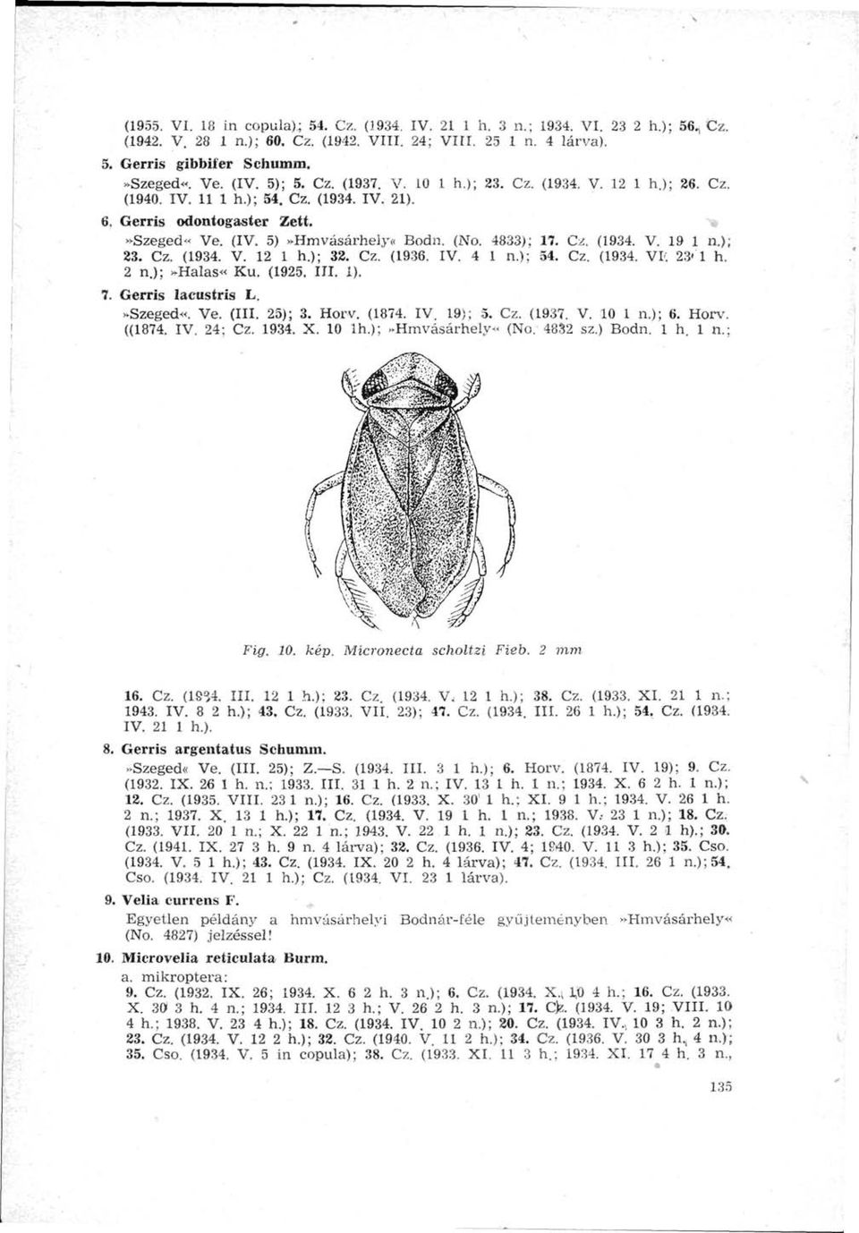 Cz. (1934. V. 19 1 п.); 23. Cz. (1934. V. 12 1 h.); 32. Cz. (1936. IV. 4 1 п.); 54. Cz. (1934. VI* 23' 1 h. 2 п.);»halas«ku. (1925. III. 1). 7. Gerris lacustris L,»Szeged«. Ve. (III. 25); 3. Horv.