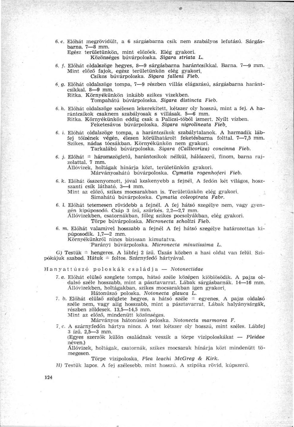 Előhát oldalszöge tompa, 7 9 részben villás elágazású, sárgásbarna harántcsíkkal. 8 9 mm. Ritka. Környékünkön inkább szikes vizekben. Tompahátú búvárpoloska. Sigara distincta Fieb. 6. h. Előhát oldalszöge szélesen lekerekített, kétszer oly hosszú, mint a fej.