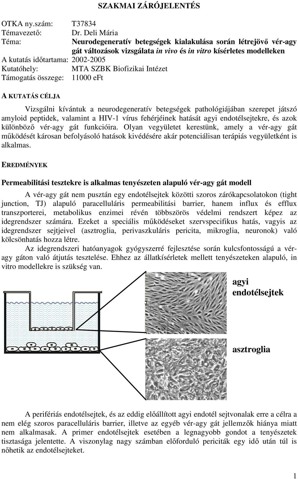 SZBK Biofizikai Intézet Támogatás összege: 11000 eft A KUTATÁS CÉLJA Vizsgálni kívántuk a neurodegeneratív betegségek pathológiájában szerepet játszó amyloid peptidek, valamint a HIV-1 vírus