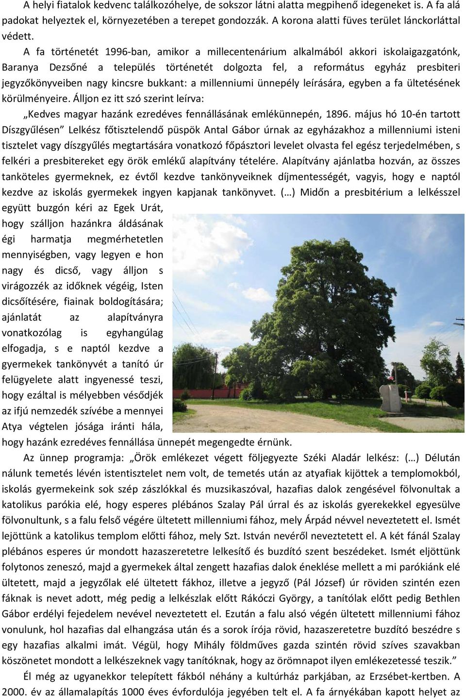 A fa történetét 1996-ban, amikor a millecentenárium alkalmából akkori iskolaigazgatónk, Baranya Dezsőné a település történetét dolgozta fel, a református egyház presbiteri jegyzőkönyveiben nagy
