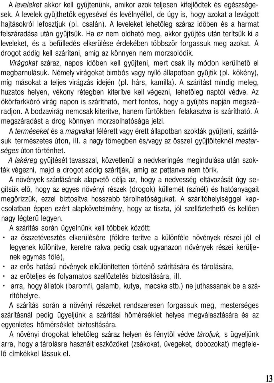 Ha ez nem oldható meg, akkor gyűjtés után terítsük ki a leveleket, és a befülledés elkerülése érdekében többször forgassuk meg azokat. A drogot addig kell szárítani, amíg az könnyen nem morzsolódik.