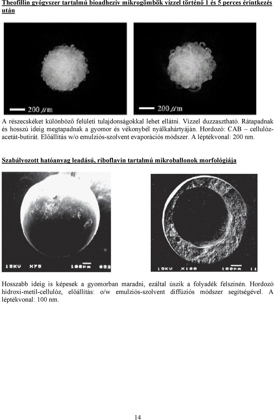 Előállítás w/o emulziós-szolvent evaporációs módszer. A léptékvonal: 200 nm.