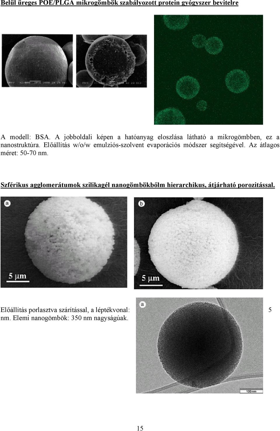 Előállítás w/o/w emulziós-szolvent evaporációs módszer segítségével. Az átlagos méret: 50-70 nm.