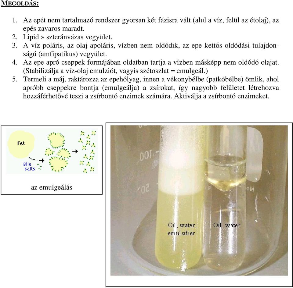 Az epe apró cseppek formájában oldatban tartja a vízben másképp nem oldódó olajat. (Stabilizálja a víz-olaj emulziót, vagyis szétoszlat = emulgeál.) 5.