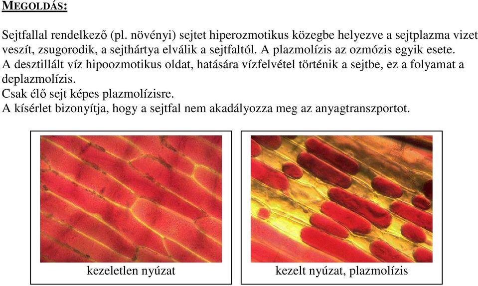 sejtfaltól. A plazmolízis az ozmózis egyik esete.