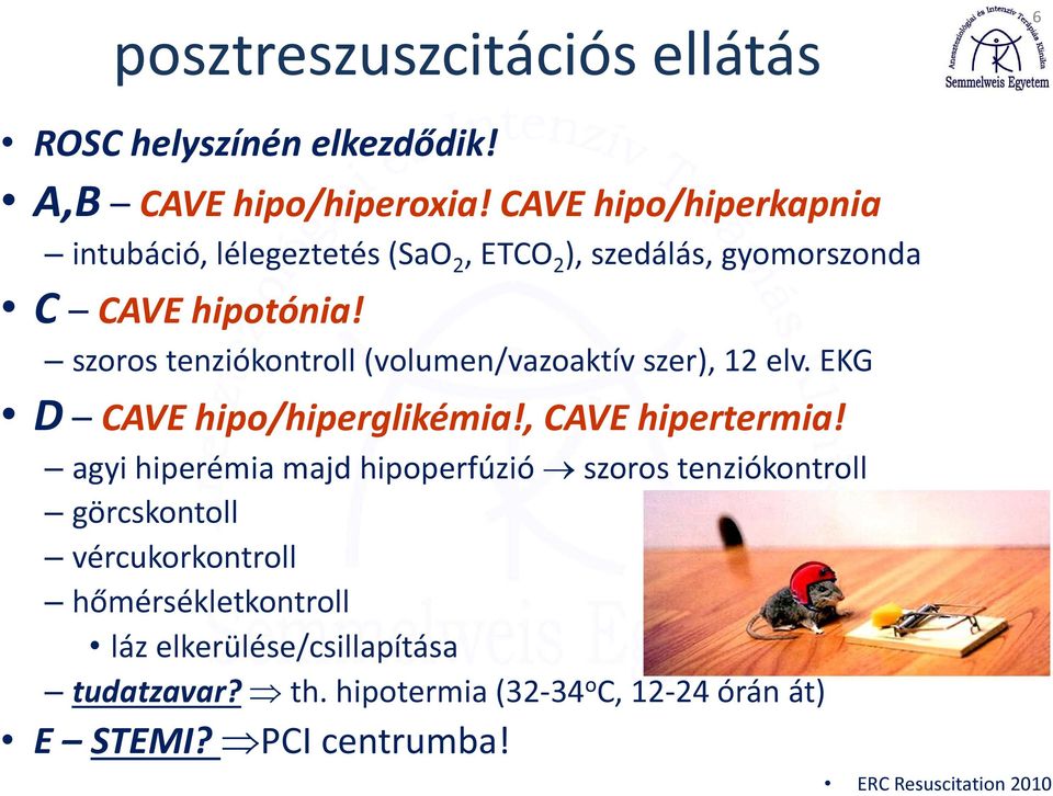 szoros tenziókontroll (volumen/vazoaktív szer), 12 elv. EKG D CAVE hipo/hiperglikémia!, CAVE hipertermia!