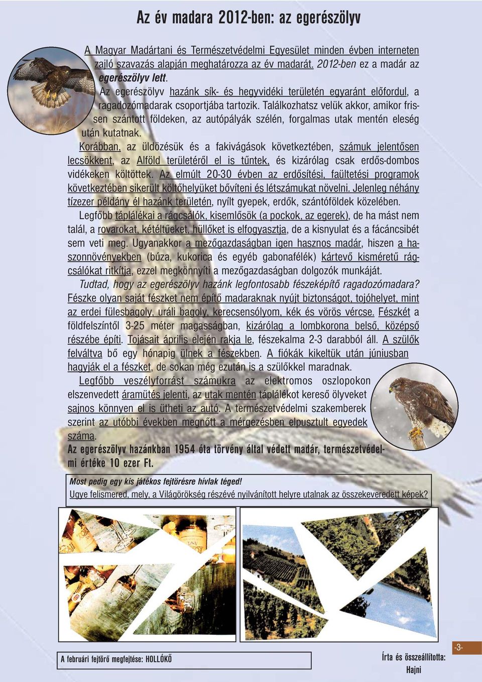 Találkozhatsz velük akkor, amikor frissen szántott földeken, az autópályák szélén, forgalmas utak mentén eleség után kutatnak.