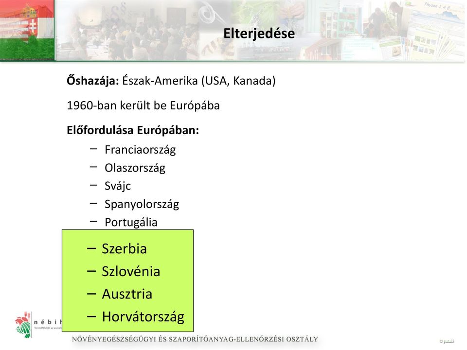 Európában: Franciaország Olaszország Svájc