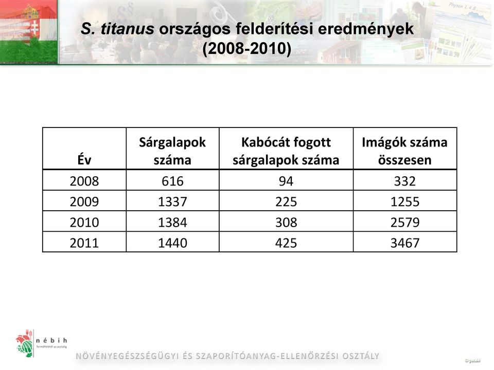 száma 616 1337 1384 1440 Kabócát fogott sárgalapok