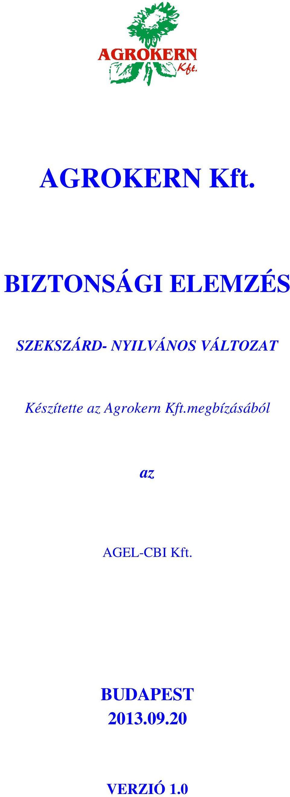 NYILVÁNOS VÁLTOZAT Készítette az