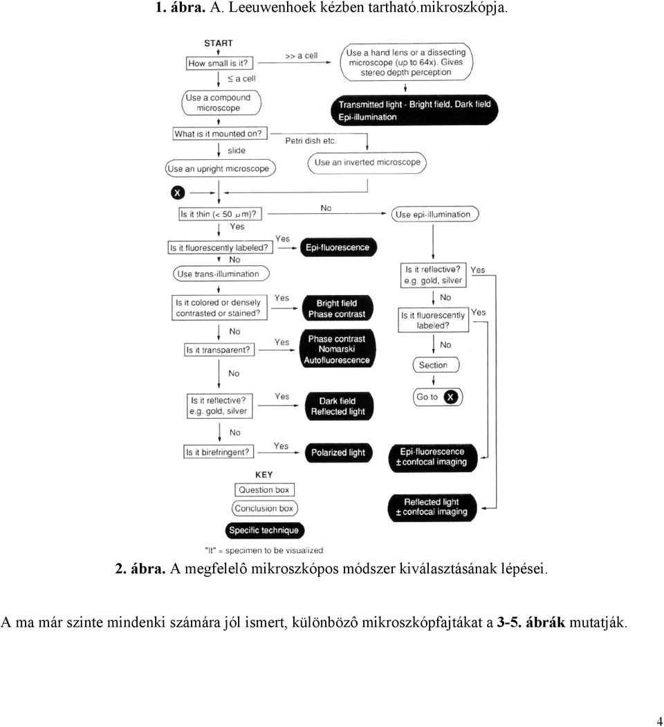 A megfelelô mikroszkópos módszer kiválasztásának