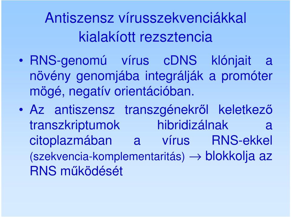Az antiszensz transzgénekről keletkező transzkriptumok hibridizálnak a