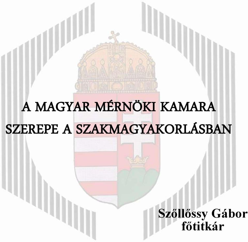 SZAKMAGYAKORLÁSBAN