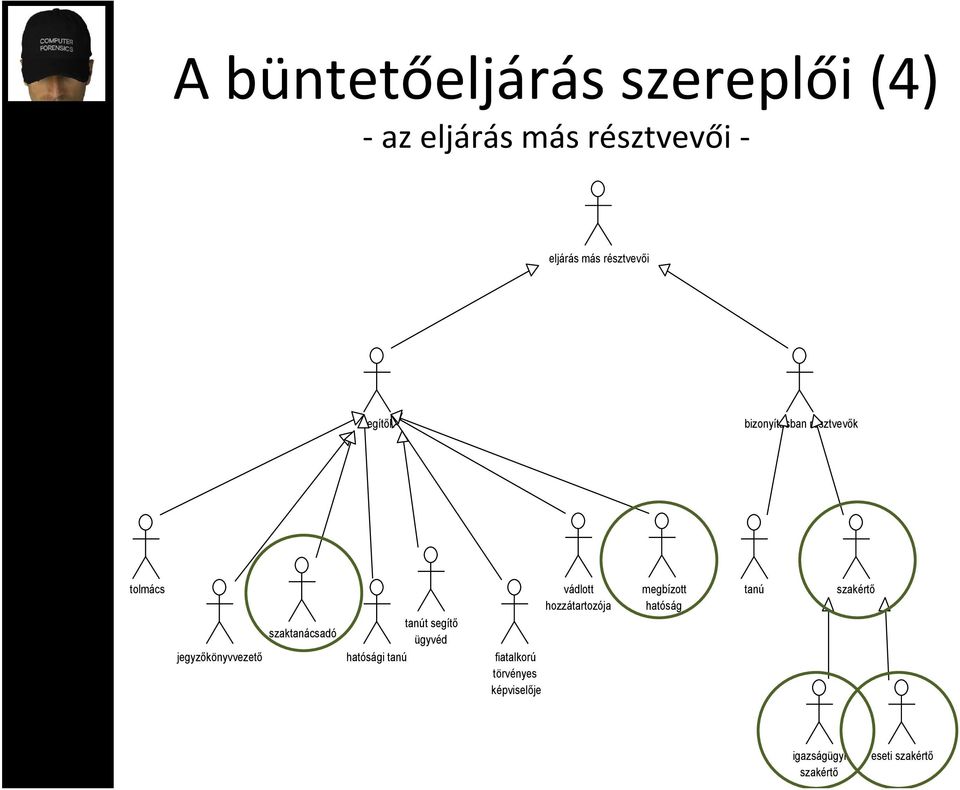 megbízott hatóság tanú szakértő szaktanácsadó tanút segítő ügyvéd