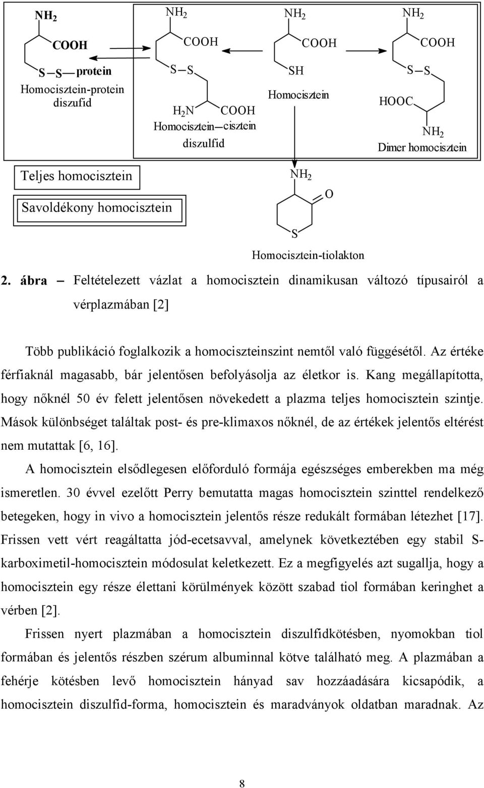 ábra Feltételezett vázlat a homocisztein dinamikusan változó típusairól a vérplazmában [2] Több publikáció foglalkozik a homociszteinszint nemtől való függésétől.
