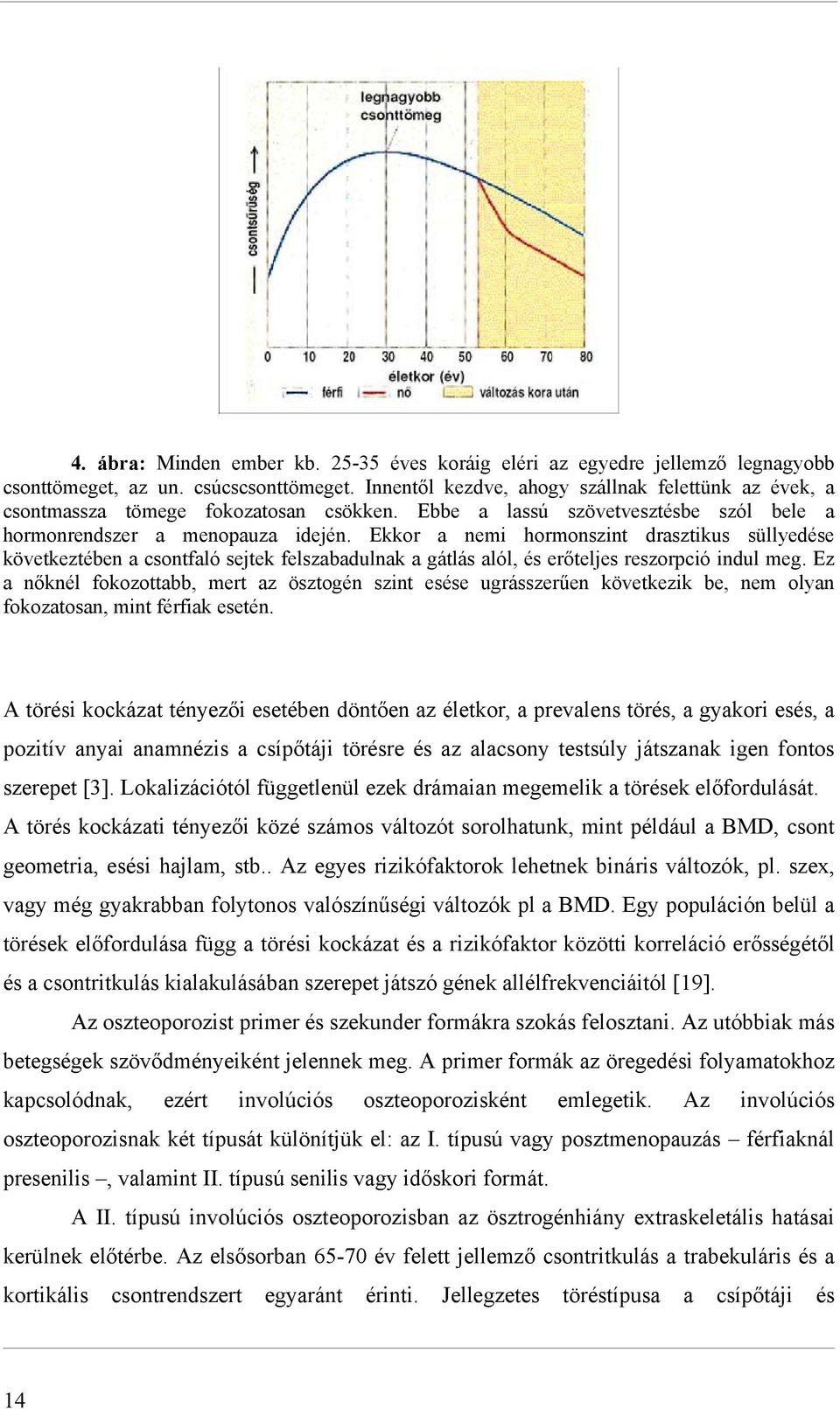 Ekkor a nemi hormonszint drasztikus süllyedése következtében a csontfaló sejtek felszabadulnak a gátlás alól, és erőteljes reszorpció indul meg.