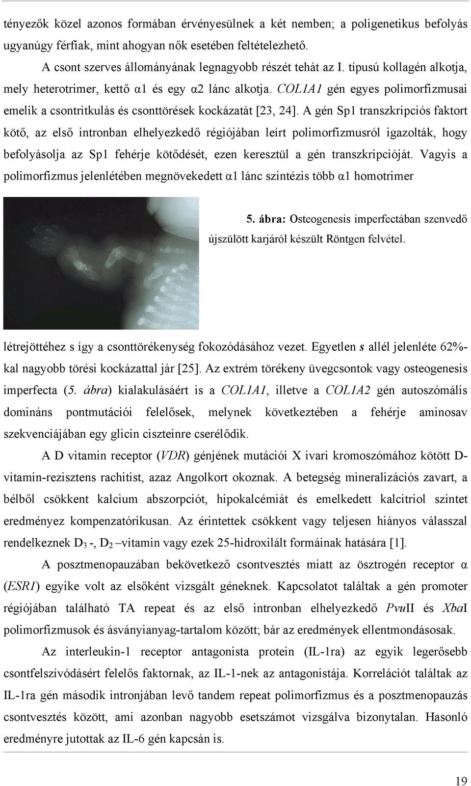 COL1A1 gén egyes polimorfizmusai emelik a csontritkulás és csonttörések kockázatát [23, 24].