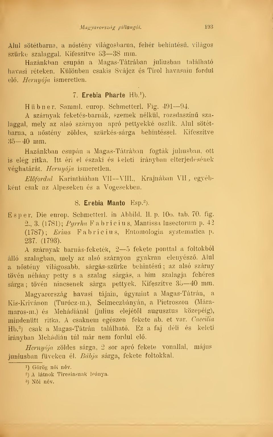 A szárnyak feketés-barnák, szemek nélkül, rozsdaszín szalaggal, mely az alsó szárnyon apró pettyekké oszlik. Alul sötétbarna, a nstény zöldes, szürkés-sárga behintéssel. Kifeszítve 35 40 mm.