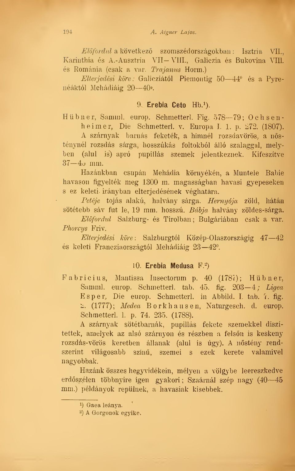 272. (1807). A szárnyak barnás feketék, a hímnél rozsdavörös, a nsténynél rozsdás sárga, hosszúkás foltokból álló szalaggal, melyben (alul is) apró pupillás szemek jelentkeznek. Kifeszítve 37 4o mm.
