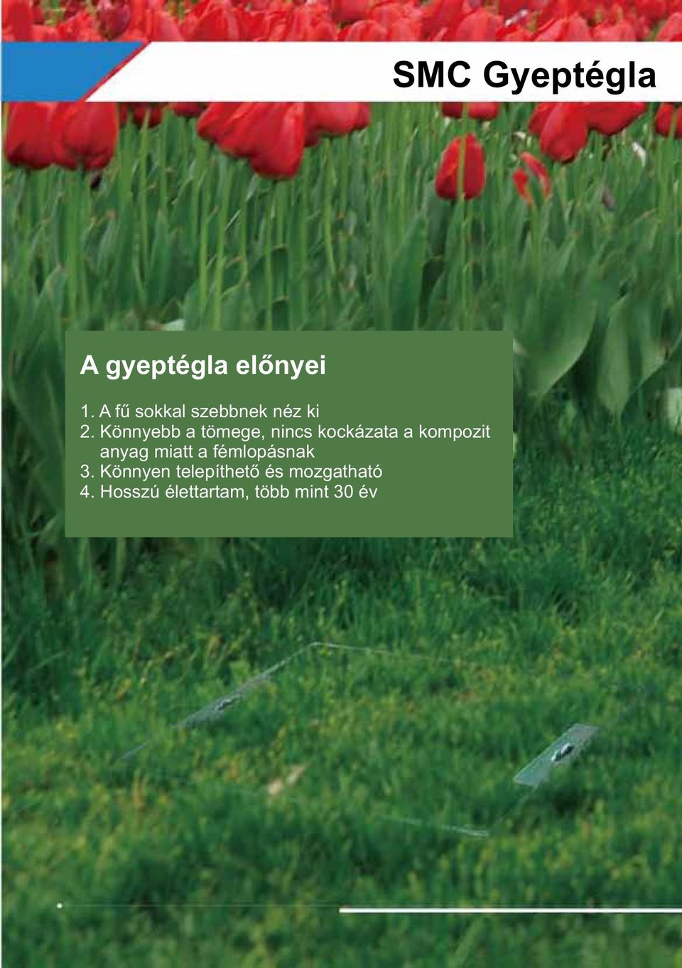Könnyebb a tömege, nincs kockázata a kompozit anyag