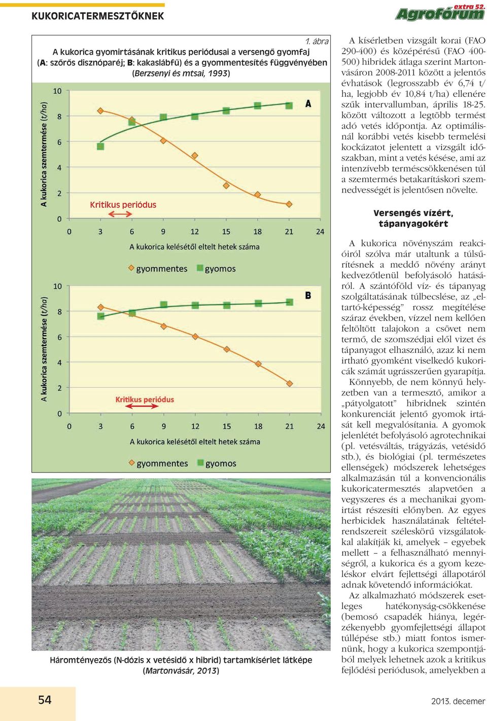 (N-dózis x vetésidő x hibrid) tartamkísérlet látképe (Martonvásár, 2013) extra 52.