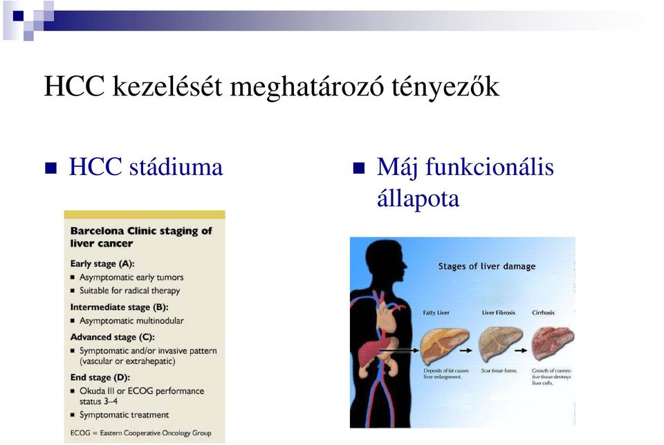 tényezők HCC