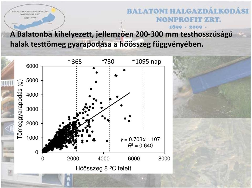 hőösszeg függvényében.