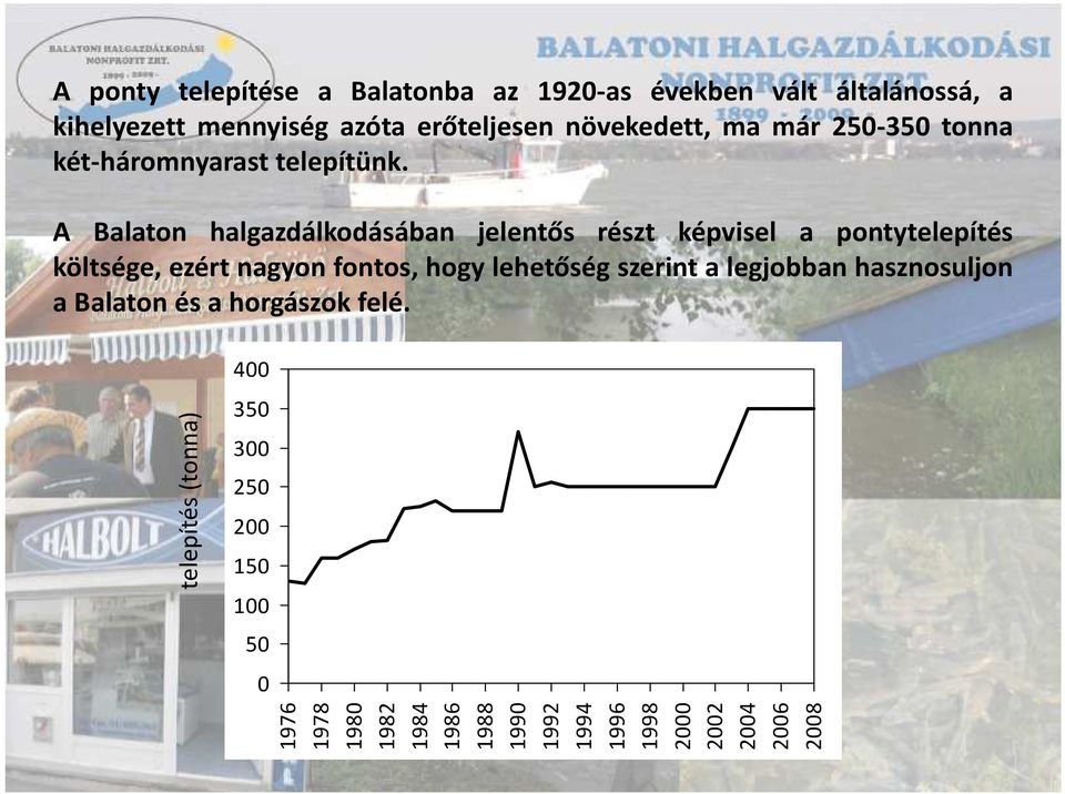A Balaton halgazdálkodásában jelentős részt képvisel a pontytelepítés költsége, ezért nagyon fontos, hogy