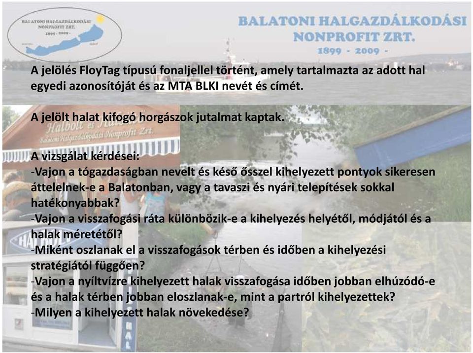 -Vajon a visszafogási ráta különbözik-e a kihelyezés helyétől, módjától és a halak méretétől? -Miként oszlanak el a visszafogások térben és időben a kihelyezési stratégiától függően?