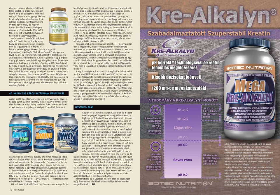 A C-vitamin szerepérôl korábban már szó esett, ám arról még nem, hogy az arginin aminosav emberekben és rágcsálókban is képes fokozni a sebek gyógyulásakor (kicsit pongyolán fogalmazva) a kollagén