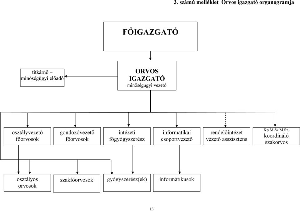 főgyógyszerész informatikai csoportvezető rendelőintézet vezető asszisztens Kp.M.