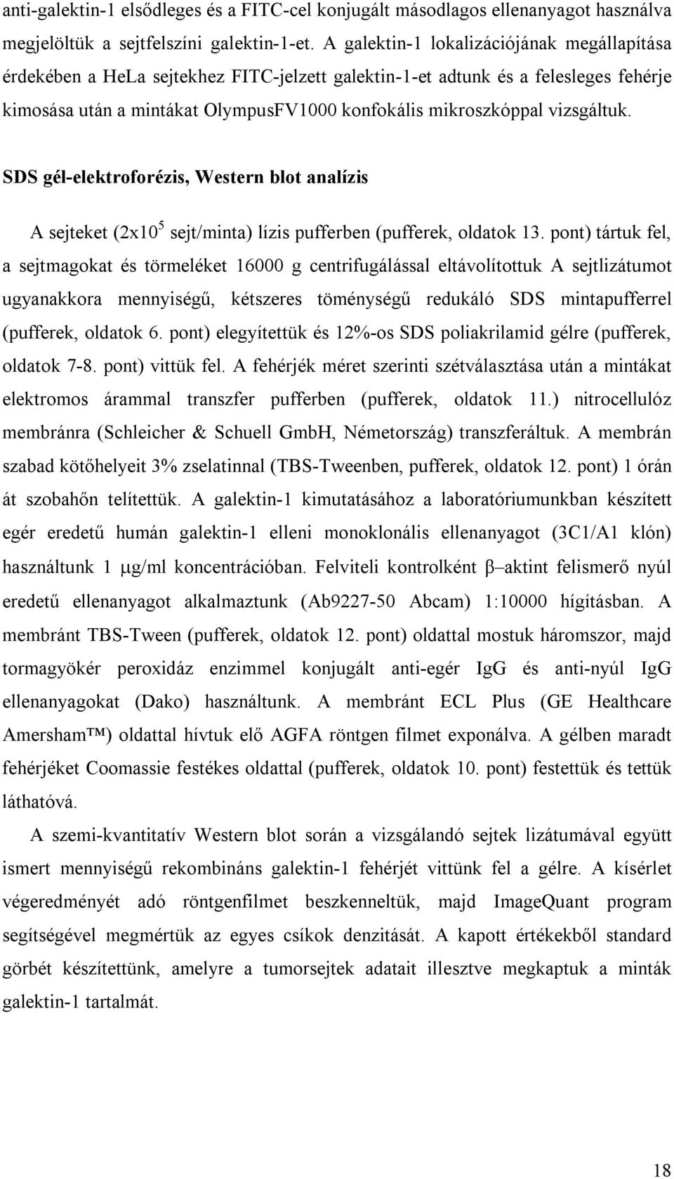 vizsgáltuk. SDS gél-elektroforézis, Western blot analízis A sejteket (2x10 5 sejt/minta) lízis pufferben (pufferek, oldatok 13.