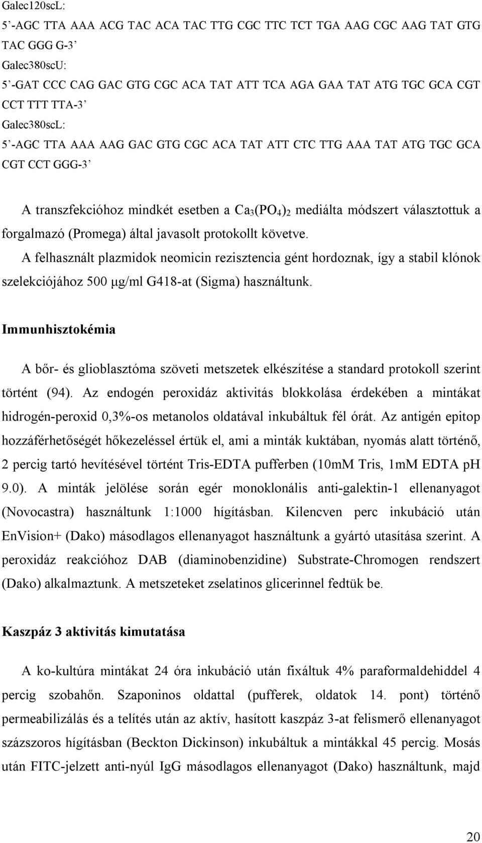 (Promega) által javasolt protokollt követve. A felhasznált plazmidok neomicin rezisztencia gént hordoznak, így a stabil klónok szelekciójához 500 μg/ml G418-at (Sigma) használtunk.