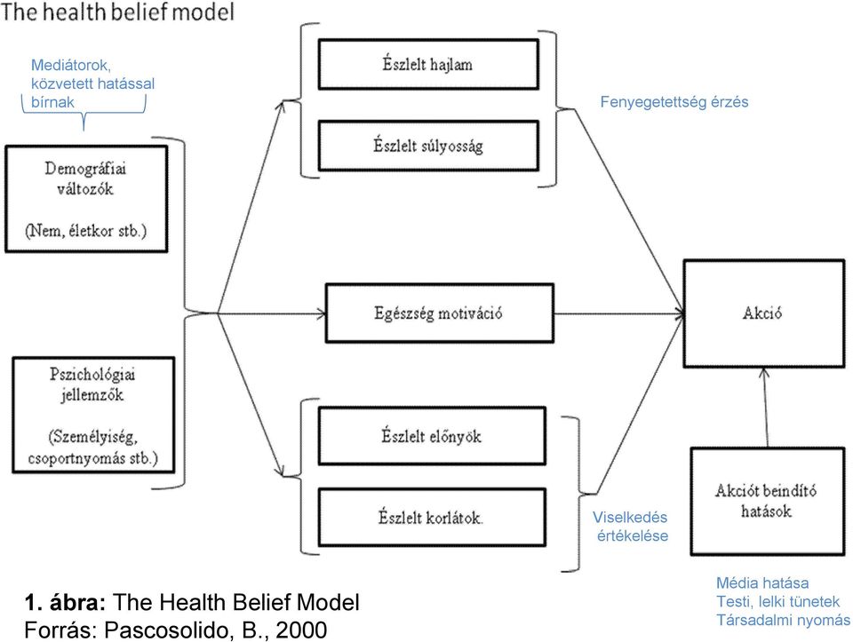 ábra: The Health Belief Model Forrás: