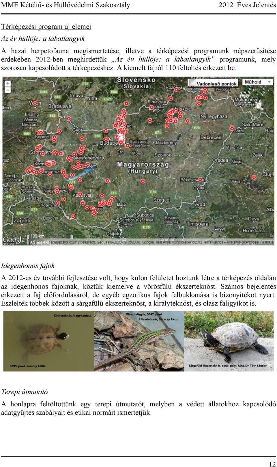 Idegenhonos fajok A 2012-es év további fejlesztése volt, hogy külön felületet hoztunk létre a térképezés oldalán az idegenhonos fajoknak, köztük kiemelve a vörösfülű ékszerteknőst.