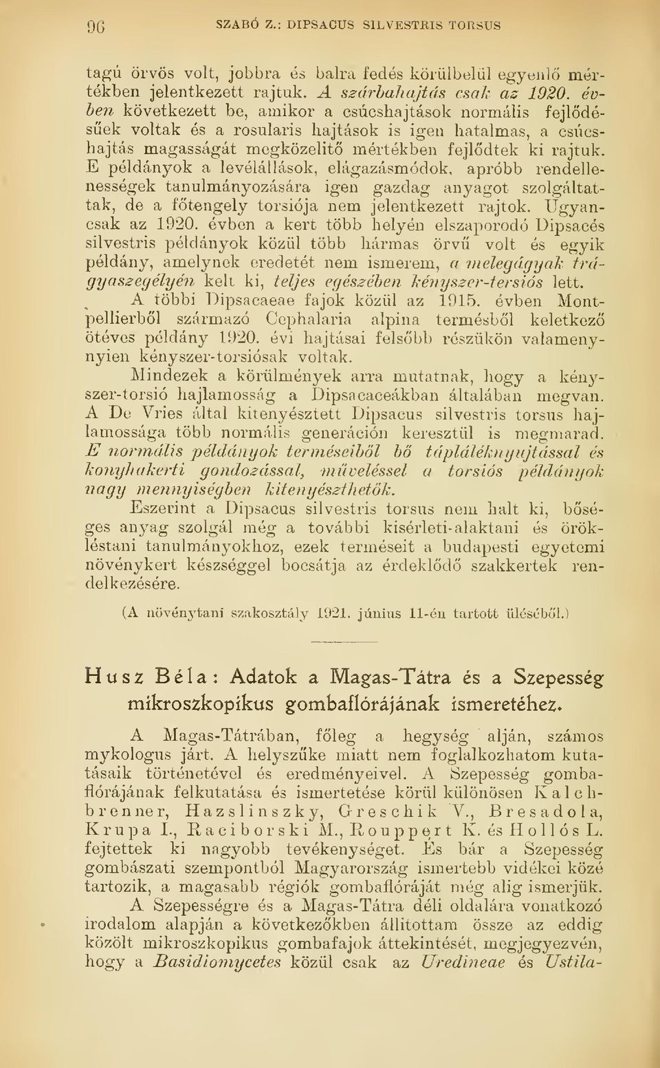 E példányok a levélállások, elágazásmódok, apróbb rendellenességek tanulmányozására igen gazdag anyagot szolgáltattak, de a ftengely torsiója nem jelentkezett rajtok. Ugyancsak az 1920.