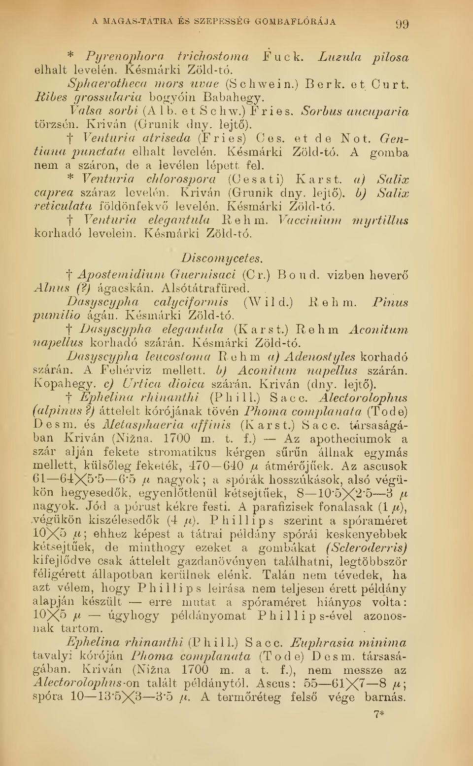 Késmárki Zöld-tó. A gomba nem a száron, de a levélen lépett fel. * Venturia clüorospora (C e s a t i) K a r s t. a) Salix caprea száraz levelén. Kriván (Grunik dny.