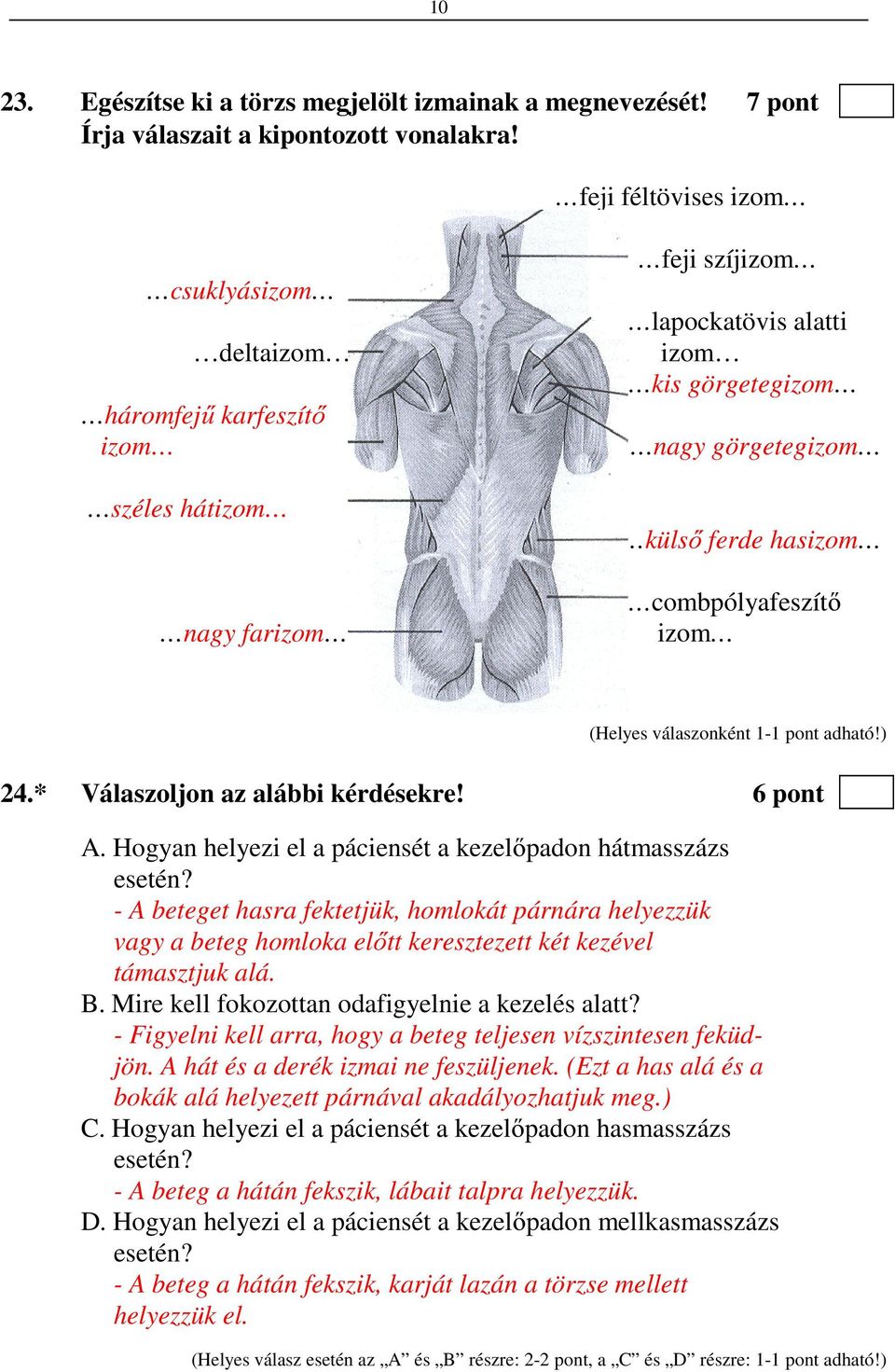 combpólyafeszítő izom 24.* Válaszoljon az alábbi kérdésekre! 6 pont A. Hogyan helyezi el a páciensét a kezelőpadon hátmasszázs esetén?