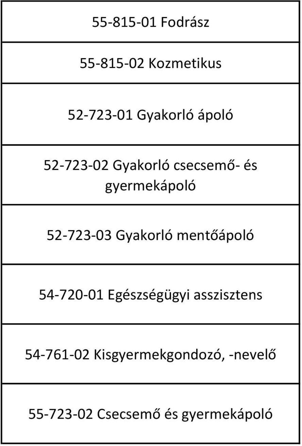 Gyakorló mentőápoló 54-720-01 Egészségügyi asszisztens